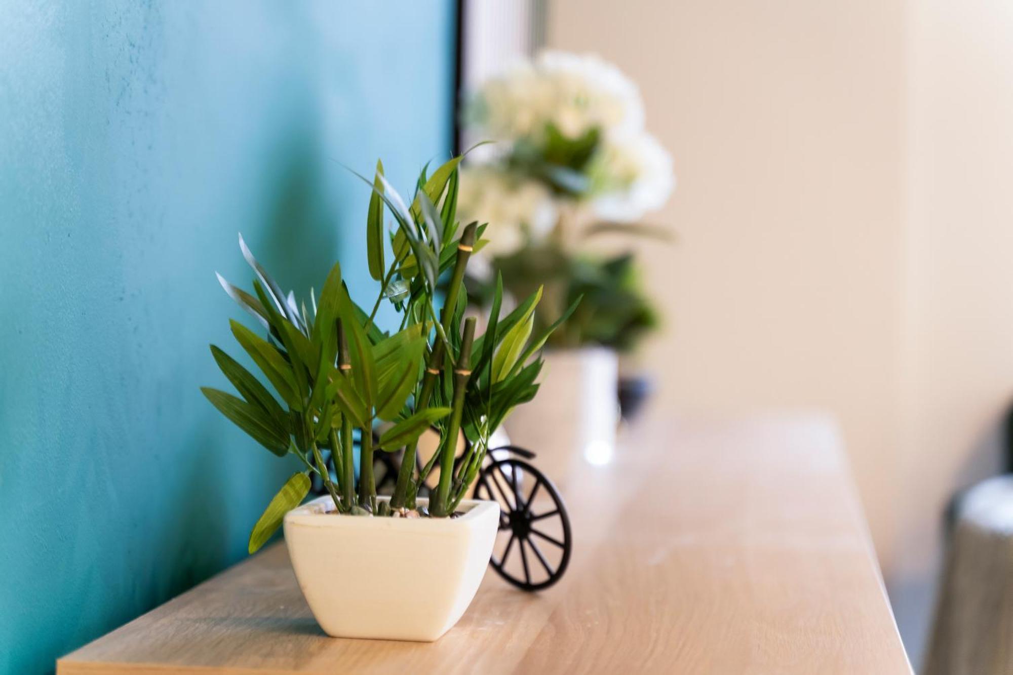 Evergreen Haven - Central 2Br - Free Parking W High Speed Wifi Birmingham Extérieur photo